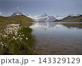 Bachalpsee lake reflecting swiss alps mountains with cotton grass 143329129