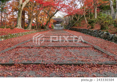 京都の毘沙門堂の敷き紅葉 (京都府京都市山科区) 143330384