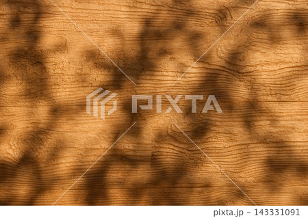 Dappled Light and Foliage Shadows on Warm Wood Background Dappled Light and Foliage Shadows on Warm Wood Background 143331091