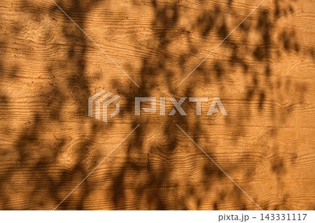 Tree Leaf Shadows on Warm Wooden Plank Surface Texture 143331117