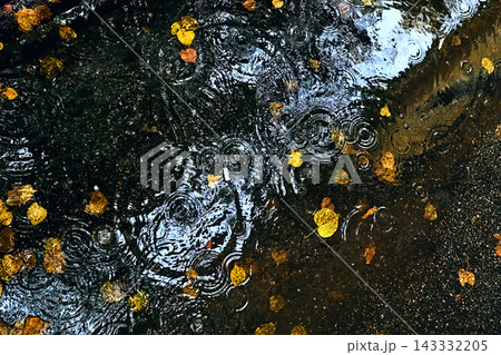 rain puddle autumn leaves, falling water droplets ripple, wet asphalt detail shot, leaf texture macro photography, urban surface weather pattern 143332205