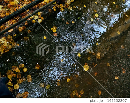 rain puddle street pipes, urban drainage water detail, autumn leaves wet pavement, partial figure footshot, city infrastructure rain scene 143332207