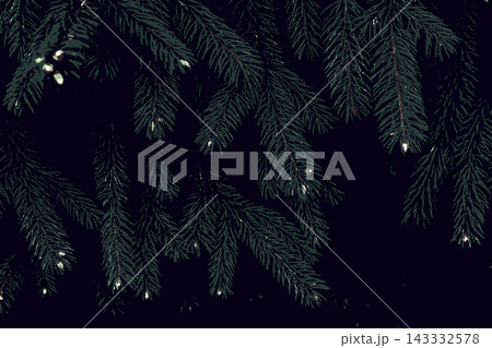 Abstract Dark Green Risograph Halftone Spruce Background for Psychedelic Christmas Design Abstract Dark Green Risograph Halftone Spruce Background for Psychedelic Christmas Design 143332578