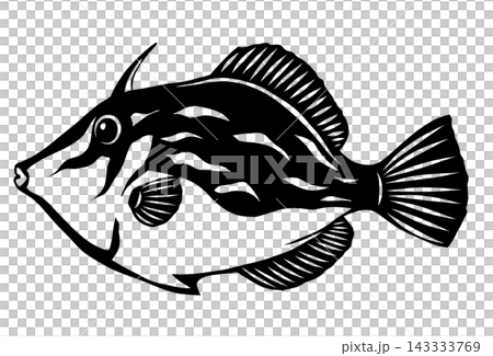 A paper-cut style illustration of a filefish, in black and white with a transparent background. A paper-cut style illustration of a filefish, in black and white with a transparent background. 143333769