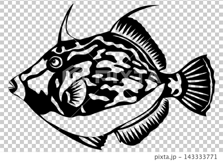 Filefish, filefish, fish, marine fish, high-class fish, sea creature, organism, cool, cool Filefish, filefish, fish, marine fish, high-class fish, sea creature, organism, cool, cool 143333771
