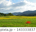 大内文化眠る大地を包む秋の空気 143333837