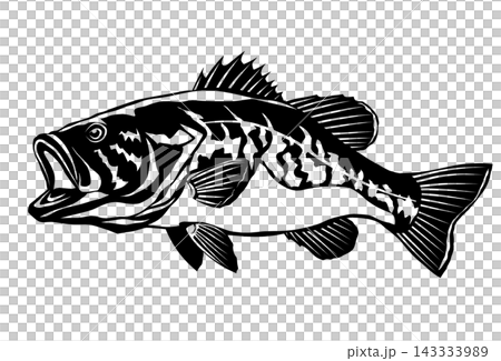 A cool black and white silhouette illustration of a freshwater fish, the bass. 143333989
