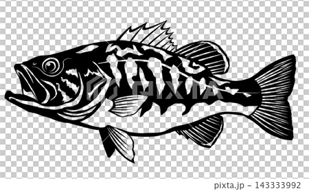 Black and white graphic material of a largemouth bass, in a paper-cut style silhouette. Black and white graphic material of a largemouth bass, in a paper-cut style silhouette. 143333992