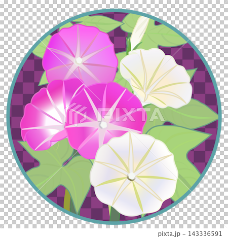 圓形背景的牽牛花插圖 圓形背景的牽牛花插圖 143336591