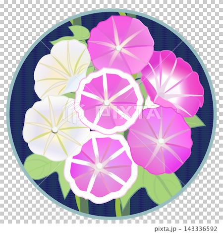 Morning glory illustration with a circular background Morning glory illustration with a circular background 143336592