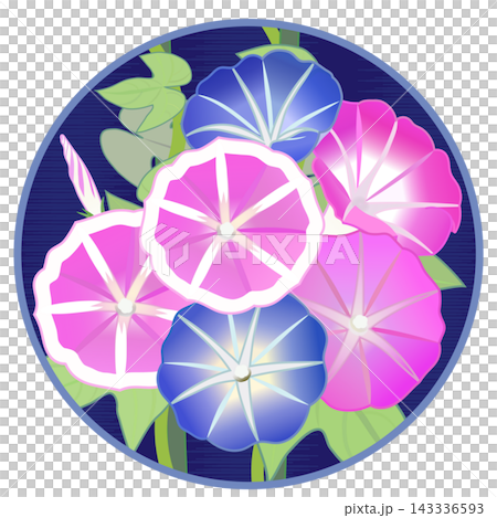 圓形背景的牽牛花插圖 圓形背景的牽牛花插圖 143336593