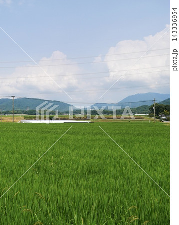 夏の田園風景 143336954