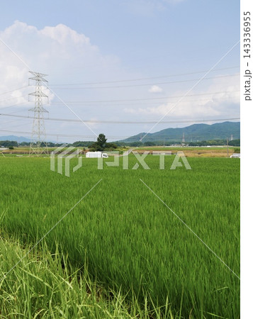 夏の田園風景 143336955