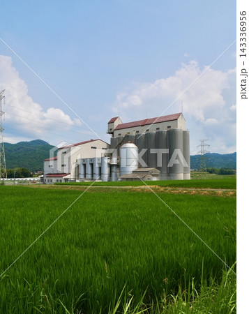 夏の田園風景 夏の田園風景 143336956