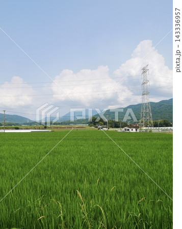 夏の田園風景 夏の田園風景 143336957