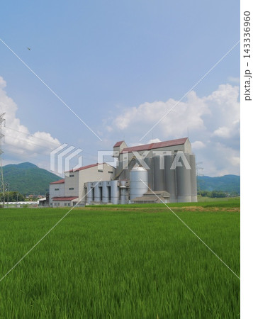 夏の田園風景 夏の田園風景 143336960