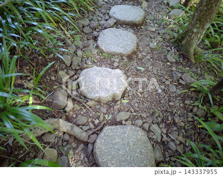 草木に囲まれた小道の飛び石 草木に囲まれた小道の飛び石 143337955
