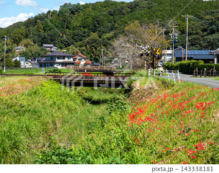 彼岸花が咲く小川のある磐田市の秋の風景 彼岸花が咲く小川のある磐田市の秋の風景 143338181