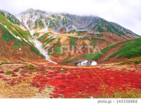 立山室堂 紅葉の雷鳥沢キャンプ場 143338868