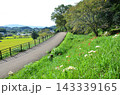 明日香の秋 143339165
