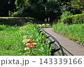 明日香の秋 143339166