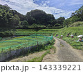 奥明日香の秋 143339221