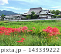 明日香の秋 143339222