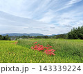 明日香の秋 143339224