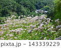 奥明日香の秋 143339229