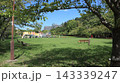緑の戻った西神中央公園  143339247