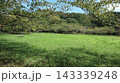 緑の戻った西神中央公園  143339248