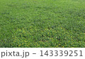 緑の戻った西神中央公園  143339251