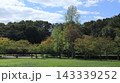 緑の戻った西神中央公園  143339252