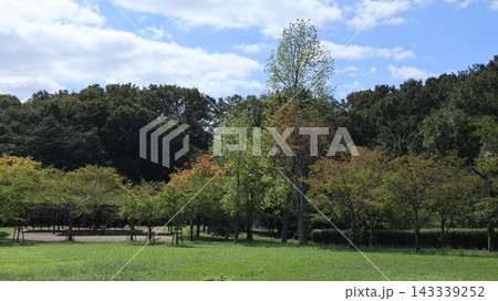 緑の戻った西神中央公園  143339252