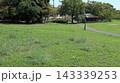 緑の戻った西神中央公園  143339253