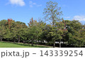 緑の戻った西神中央公園  143339254
