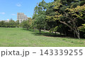 緑の戻った西神中央公園  143339255