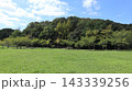 緑の戻った西神中央公園  143339256