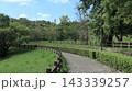 緑の戻った西神中央公園  143339257