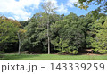 緑の戻った西神中央公園  143339259