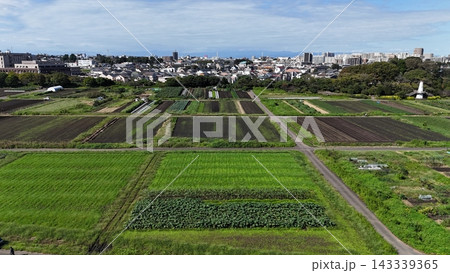 田園 143339365