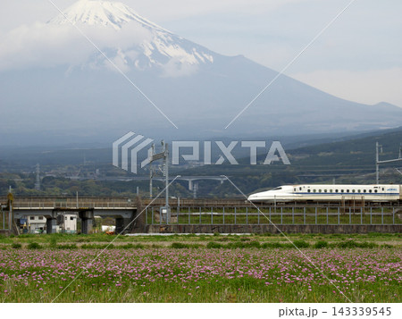 富士山と新幹線と花畑 富士山と新幹線と花畑 143339545