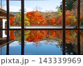 宝徳寺　秋の床もみじ 143339969