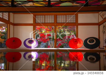 宝徳寺 秋の床もみじ 宝徳寺 秋の床もみじ 143340038