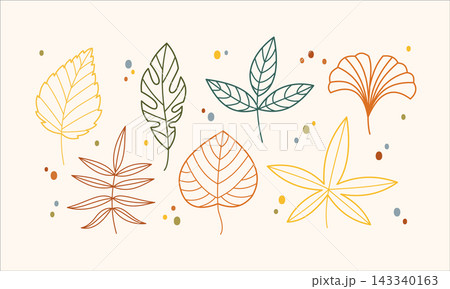 Autumn leaves line art vector elements set with ginkgo birch and forest outline foliage isolated on background for minimalist fall design Autumn leaves line art vector elements set with ginkgo birch and forest outline foliage isolated on background for minimalist fall design 143340163