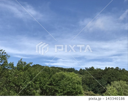 青空と白い雲が広がる緑豊かな森林風景 青空と白い雲が広がる緑豊かな森林風景 143340186