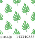 Monstera leaf seamless pattern vector flat botanical background summer textile print 143340282