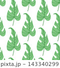 Green monstera leaf seamless pattern, minimalist tropical botanical background for textile, wallpaper, nursery decor and organic packaging 143340299