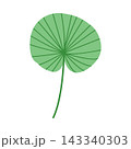 Single green fan palm leaf isolated on white background, minimalist botanical foliage element for logo design and summer branding stationary 143340303