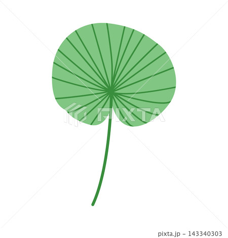 Single green fan palm leaf isolated on white background, minimalist botanical foliage element for logo design and summer branding stationary Single green fan palm leaf isolated on white background, minimalist botanical foliage element for logo design and summer branding stationary 143340303